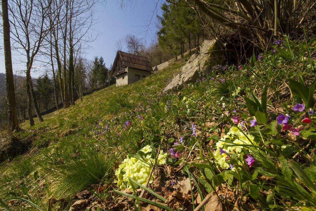Casa Delle Noci Villa Grimacco Ruang foto