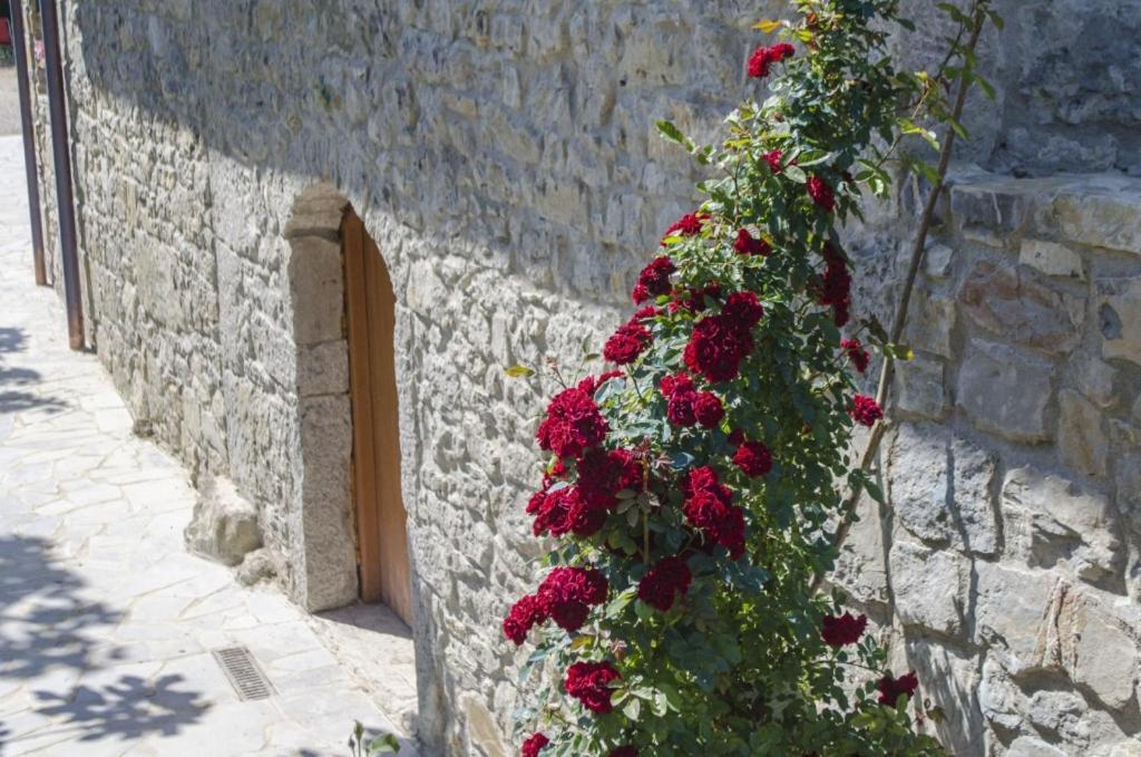 Casa Delle Noci Villa Grimacco Bagian luar foto